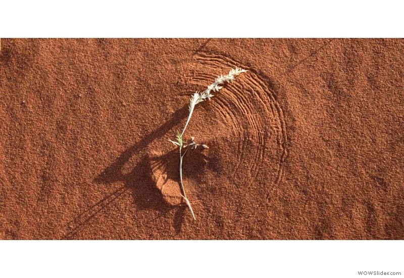 Sesriem, Namibia: