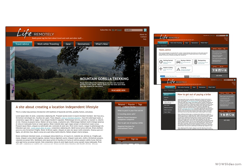 Website Design: