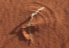 Sesriem, Namibia: