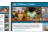 Website Design: