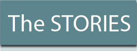 the Stories